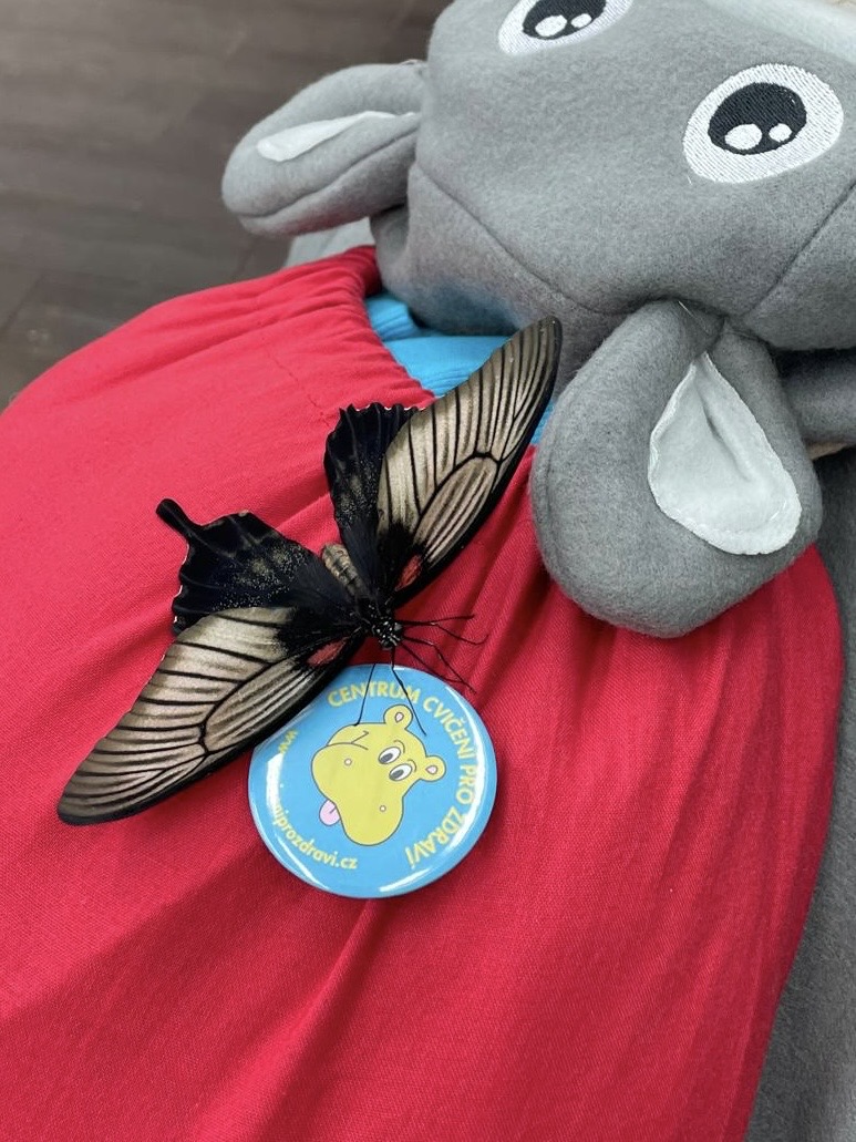 e913e853-fa6f-49ab-8728-16ce712ec03e (1)